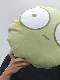 山葵組團隊成員與山葵抱枕