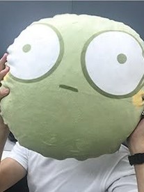 山葵組團隊成員與山葵抱枕