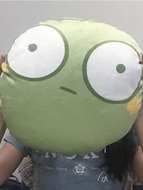 山葵組團隊成員與山葵抱枕