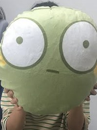 山葵組團隊成員與山葵抱枕