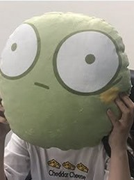 山葵組團隊成員與山葵抱枕